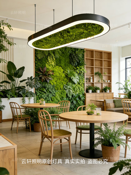 Modern Simple Oval Chandelier, Moss Lamp, Restaurant Leisure Area, Water Bar, Office Area, B&B, Shop Lighting Fixtures