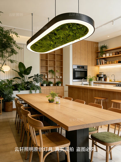 Modern Simple Oval Chandelier, Moss Lamp, Restaurant Leisure Area, Water Bar, Office Area, B&B, Shop Lighting Fixtures
