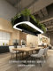 Bar Counter Pendant Light with Oval Aperture, Plant Light, Coffee Shop Front Desk, Shop, Restaurant, Leisure Area, Pantry Lighting Fixtures