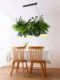 Forest-Style Industrial Bar Pendant Light Southeast Asian Homestay Restaurant Thai Dessert Shop Window Sunroom Plant Light