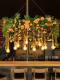 Creative Bar Chandelier, Glass Room, Sunroom, Restaurant Lamp, Flower Shop Window, Floral Art, Dining Table, Balcony Lamp, Plant Lighting