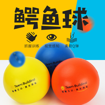 Crocodile Ball Children Sensation Training Kindergarten Outdoor Sports Athletic Equipment Ensemble to expand the event game props