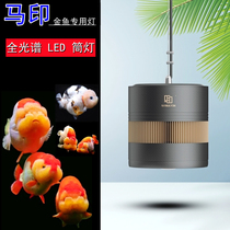 Mayin magic lamp goldfish Lanshou Thai lion special fish tank lamp LED downlight red fish not red water Zeng Yan lamp burst algae lamp
