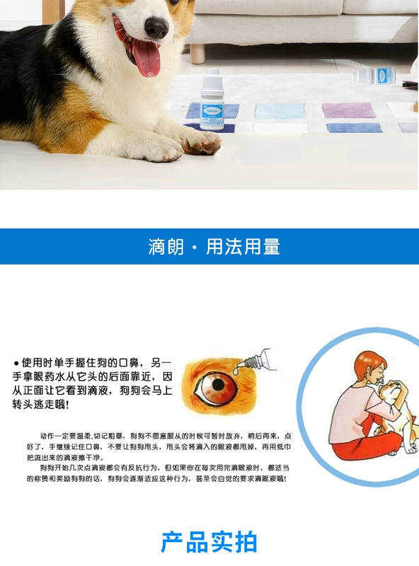 Xinghui Dilang Dog Cat Eye Drops Thuốc nhỏ mắt cho mèo Viêm mắt cho thú cưng Thuốc nhỏ mắt Kháng khuẩn Chống viêm Bichon Tear - Thuốc nhỏ mắt