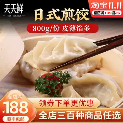 Japanese fried dumplings 800g 40 handmade dumplings fried dumplings Cantonese dim sum afternoon tea point suitable for fried