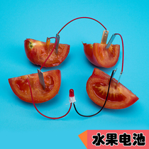 DIY homemade fruit battery power generation experiment zinc copper chip potato technology small production invention instrument physical material