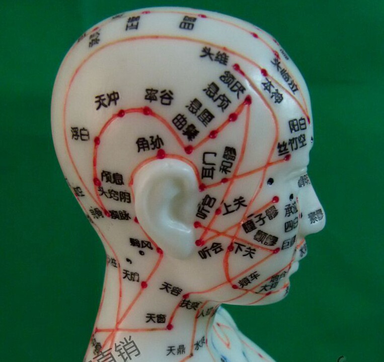 全新刻字工艺 女性60CM人体穴位模型 经络 针灸模型 专利产品