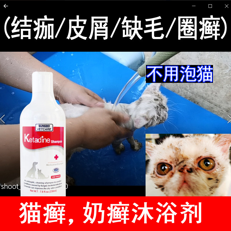 ketadine shampoo for dogs