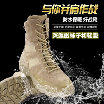 Desert boots Sun Descendants the same