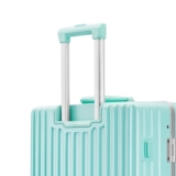 宾豪 Матовый универсальный чемодан на колесиках, 28 дюймов