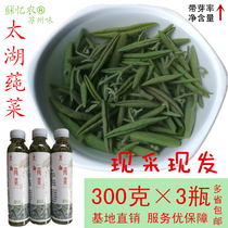  Suzhou Taihu fresh ulva pure vegetables 900 grams Dongshan specialty direct selling wild vegetables are more delicious than West Lake Icheon