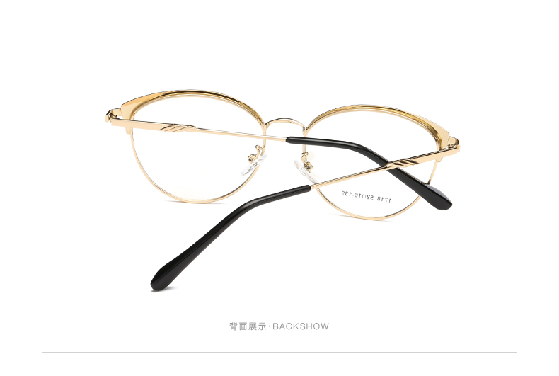 Montures de lunettes en Alliage cuivre-nickel - Ref 3140030 Image 13