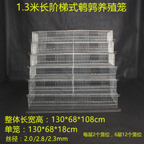 Zhiang bird cage quail cage thick and encrypted ladder type 6 layers 1 3 meters long 12 cages quail roll cage