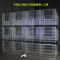 50 ширина и 12 клетка дочерняя клетка обнаженная+инструмент