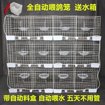 Zhiang New Pint Pigeon Cage Supplies Appliance Letter Dove Meat Pigeon Cage Matchup Cage Meat Pigeon Breeding Cage 12 Cage Position Delivery Tank