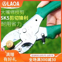 Old a household tools labor-saving gardening scissors 8 inch Fruit tree pruning shears garden pruning Flower Branch scissors picking scissors