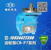 Elm hydraulic gear pump CB-P7125G 140G 160G 180G 200G 225G-F4L2-1R 2L