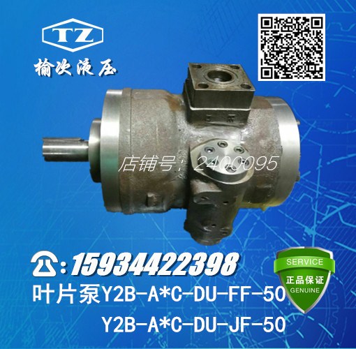 Elm hydraulic medium high pressure dual-class vane pump Y2B-B48C B60C B74C B74C-DU-FF JF-50