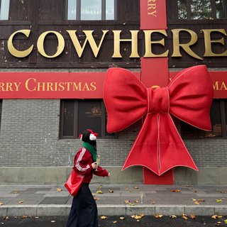 巨型发光蝴蝶结成品圣诞美陈装饰商场店铺门头布置元旦网红打卡点