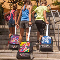 Spain NIKIDOM original imported roller primary and secondary school rod school bag wheels and rod accessories