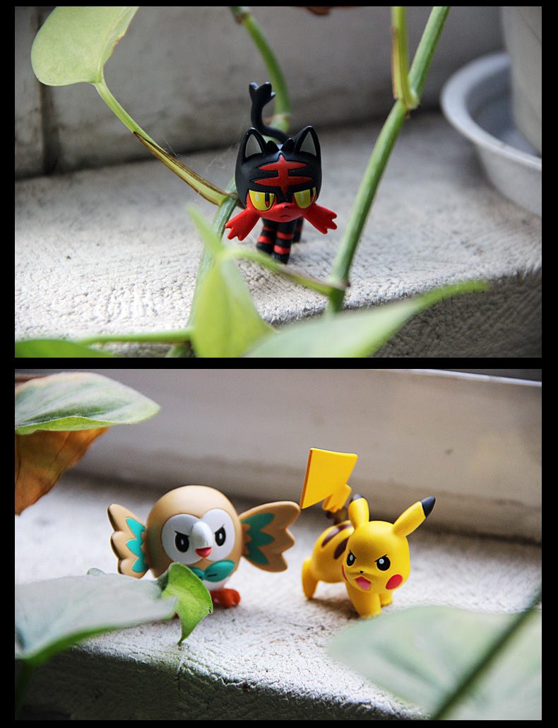 Nhật Bản TOMY Dome card Pokemon Pokemon búp bê túi đồ chơi mô hình tay đồ trang trí Pikachu - Capsule Đồ chơi / Búp bê / BJD / Đồ chơi binh sĩ bup be