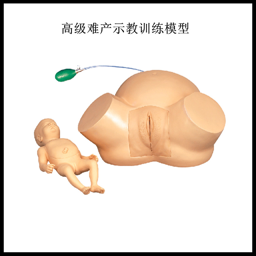 分娩示教模型 高级难产示教训练模型妇产科难产助产分娩教学模型