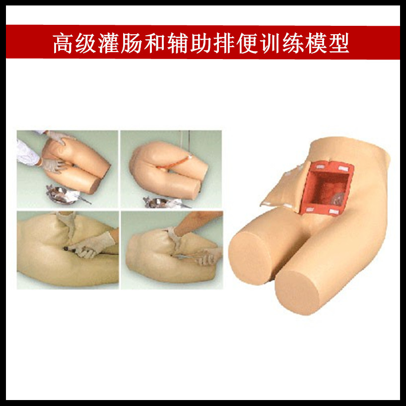 优质高级灌肠和辅助排便训练模型医院卫校示范教具模拟人
