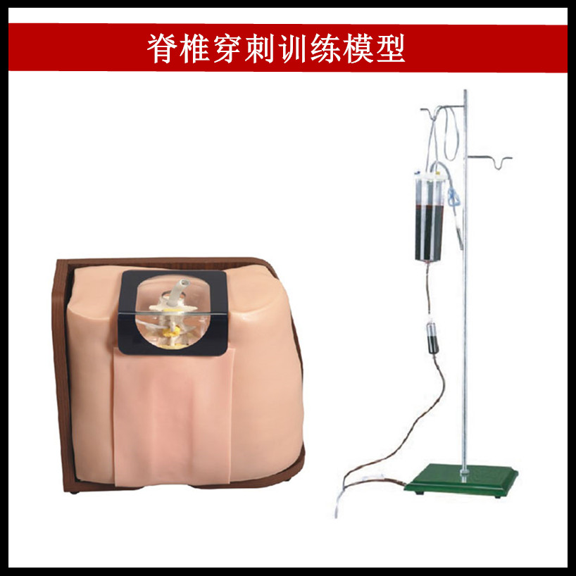 脊椎穿刺训练模型 硬膜外麻醉 骶尾麻醉 腰麻模型模拟人 厂家直销