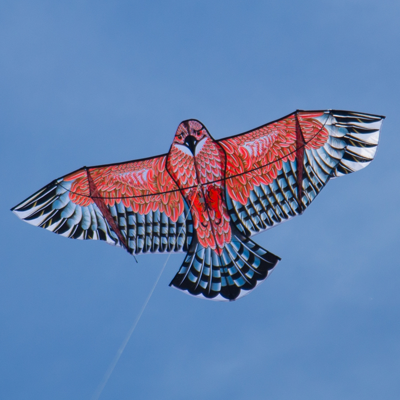Breeze Old Eagle Kite Front Bar Eagles Kite Adults Children Easy Flying Steel Eagle Kite Weifang Kite