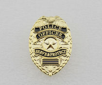 American Small badge brooch