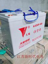 Tianneng 6-EVF-80 electric car sightseeing car electric car forklift stacker 12V80AH battery