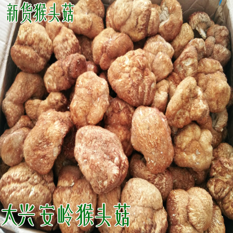 Northeast Monkey - headed mushroom Dry cargo Daxing Anling Monkey - headed mushroom without sulfur - smoked hand selection