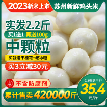 Ajouter 100g 10 Good Village Chicken Head Rice Fresh 2023 Suzhou Gordon Eurale Chicken Rice non-hand exfoliating and dry goods