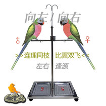 Parrot station rack stainless steel large and medium floor bird shelf sunflower grey parrot station cage stand stick training stand