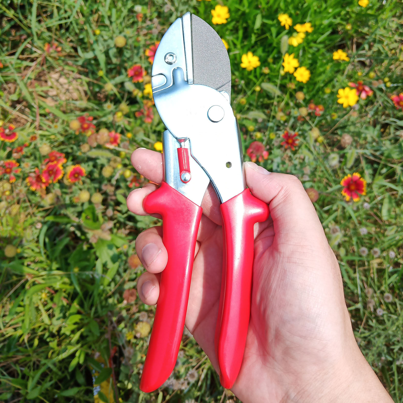 Easy speed SJ813 prunes prunes Garden Scissors Fruit Tree Cut grape labor-saving prunes Prunes Saplings Wood Scissors