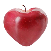 Fruit shaping mold ginseng fruit molding mold ginseng fruit shaping growth mold melon human shape mold