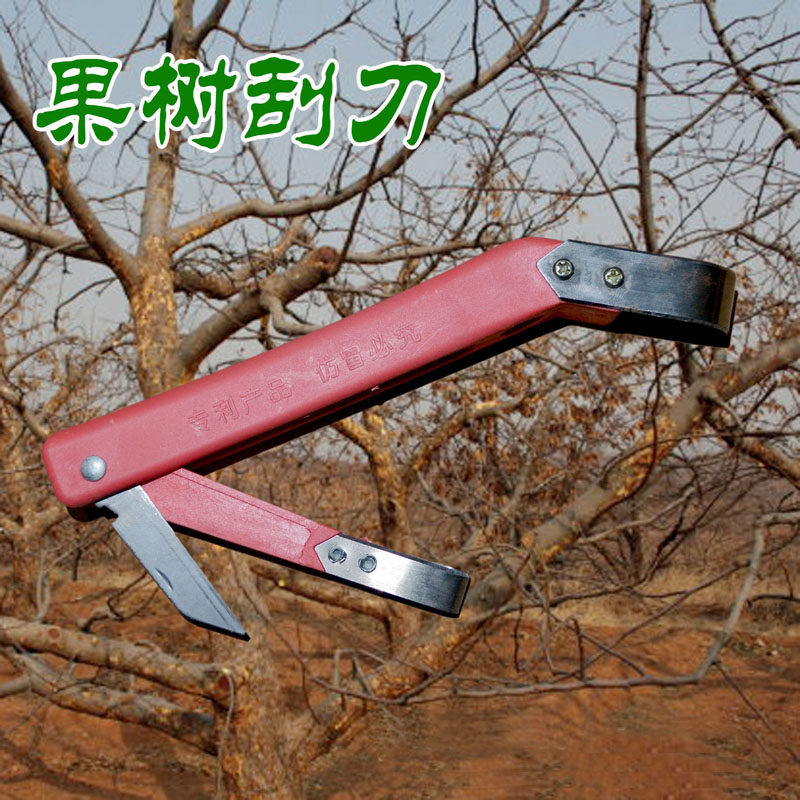 Fruit tree rings knife tree scraper tree anti-corrosion scraper knife apple tree scraper tree leather knife