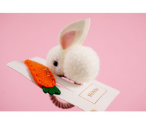 Korean three-dimensional hair ball cute rabbit hair circle Lady Rabbit hairpin baby headdress girl tie head