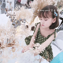 Korean childrens hair clip simple leaves small cute fresh bangs clip baby clip childrens hair accessories