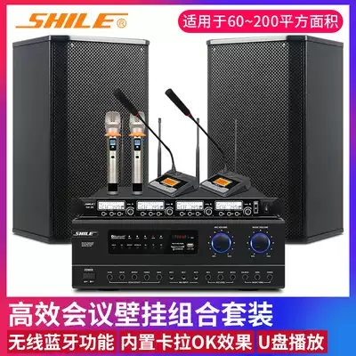 Lion music conference room audio combination set professional power amplifier wall-mounted speaker background music AV108 BX108