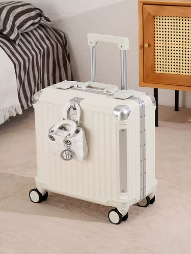 Кенгуру, чемодан, самолет для путешествий, 2025 года, новая коллекция, 20 дюймов