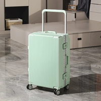 [Цветная версия] Авокадо зеленый