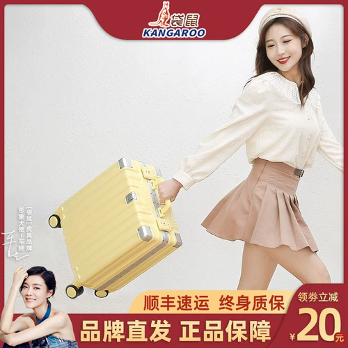 Кенгуру, чемодан, портативный самолет, новая коллекция