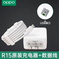 【R15 Стандартное издание】 Оригинальное зарядное устройство+исходный кабель данных