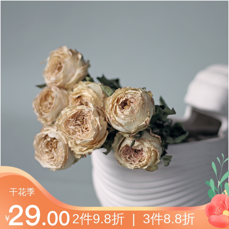 WOOKEN natural rose dry flower cream white powder real flower gift Valentine's Day home famous decoration shooting props