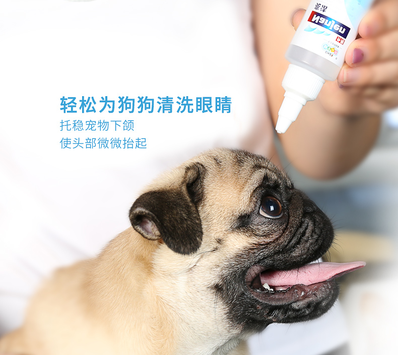 Thú cưng cung cấp thuốc nhỏ mắt hơn gấu đến nước mắt, thuốc nhỏ mắt, tạo tác, mèo, chó, thuốc nhỏ mắt, kháng khuẩn, chống viêm - Thuốc nhỏ mắt rohto antibacterial