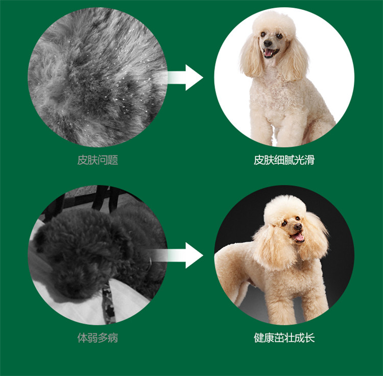 Thức ăn cho chó Nike Teddy VIP dành cho người lớn chó nhỏ Thực phẩm đặc biệt Làm đẹp lông xé vết bẩn đầy đủ công thức dinh dưỡng 10 kg 5kg - Chó Staples thức ăn cho chó phốc sóc 2 tháng tuổi