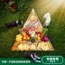 Nike Wagner Food Schnauzer Main Grain Dog dành cho người lớn Thực phẩm tự nhiên đặc biệt 4 Gói 20 kg 10kg Thức ăn cho chó nhỏ hạt zenith Chó Staples