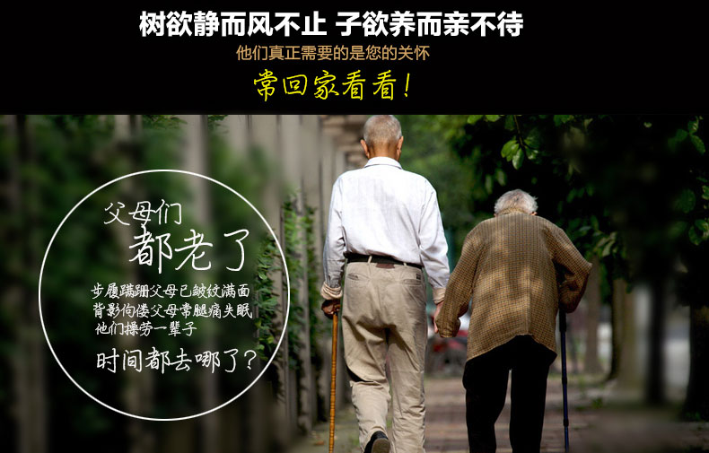 Pantalon collant personne âgée en coton - Ref 749281 Image 11