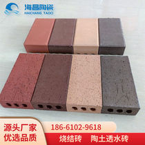 Lixing Vacuum Sintered Pottery Earth Brick Wide Field Brick Vacuum Brick Outdoor Permeable Brick Sidewalk Brick Red Porous Sintered Brick